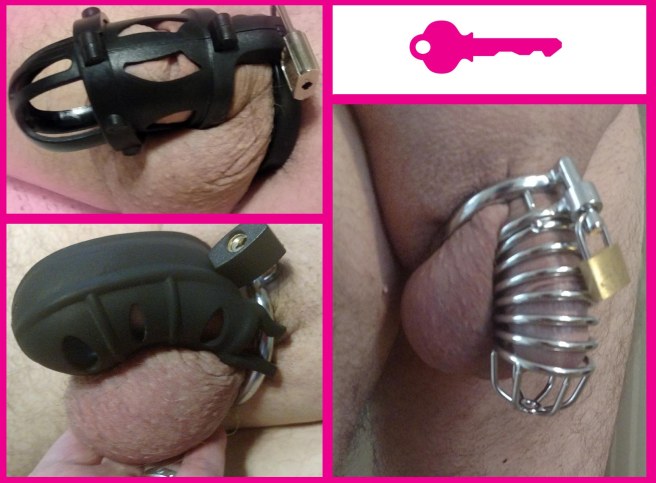 paladin cock cages x3